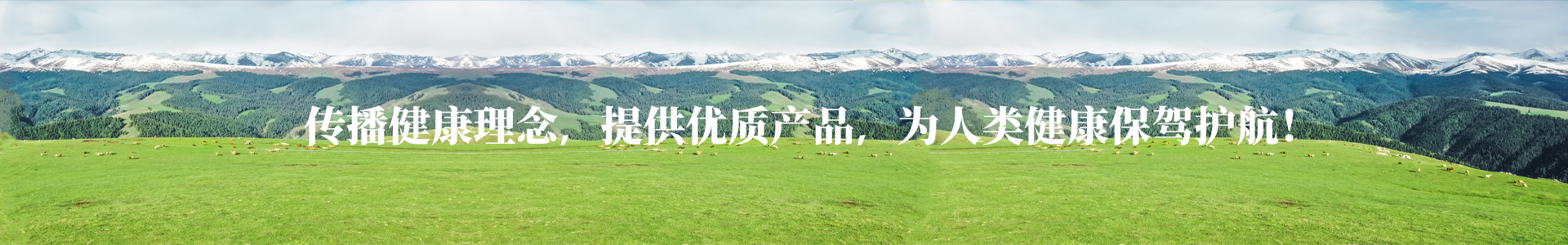 熱烈祝賀哈維藥業榮獲世界生殖產業協會深受青睞助孕產品獎-公司新聞-山東哈維藥業有限公司