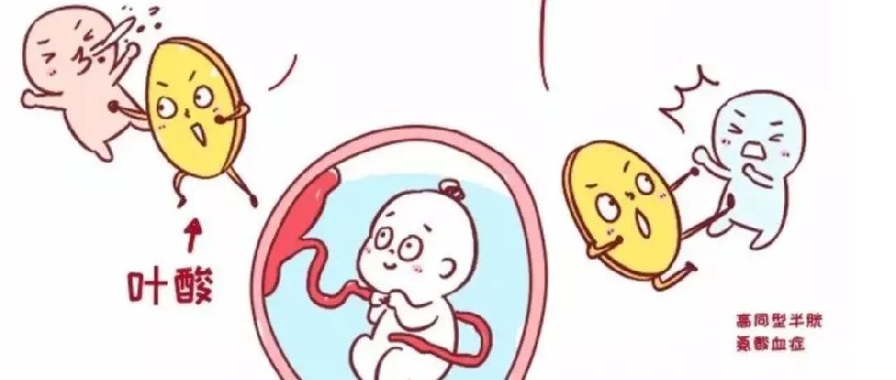 孕期 3 種錯誤葉酸吃法，葉酸你吃對了嗎