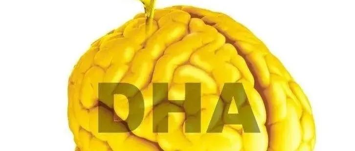 DHA補充的最佳時期，你家孩子及時補上了嗎？