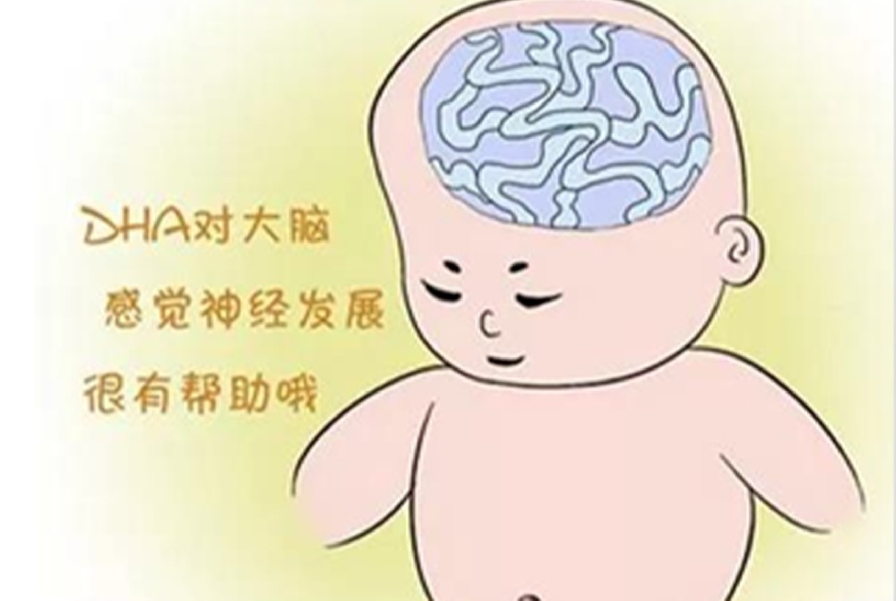 DHA—為“ 腦 ”助力，補與不補差別有多大？