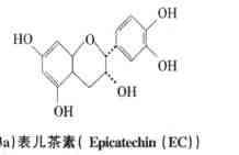 植物性功能食品分類解析 2