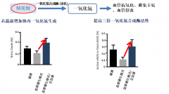 認識芯蕊康（克弗爾肽）預防動脈粥樣硬化心血